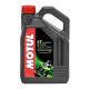 MOTUL 5100 4T 10W-30 4L