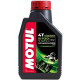 MOTUL 5100 4T 10W-30 4L